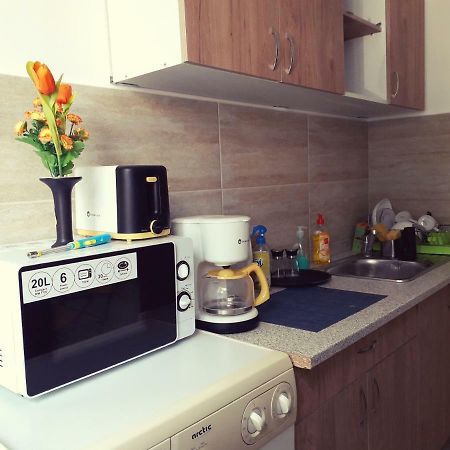 Iasi City Break Rooms 외부 사진