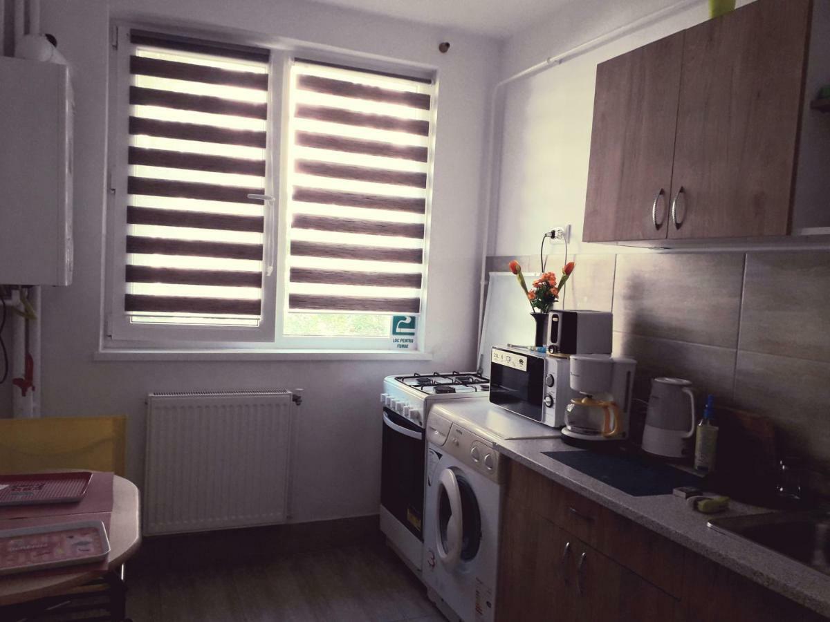 Iasi City Break Rooms 외부 사진